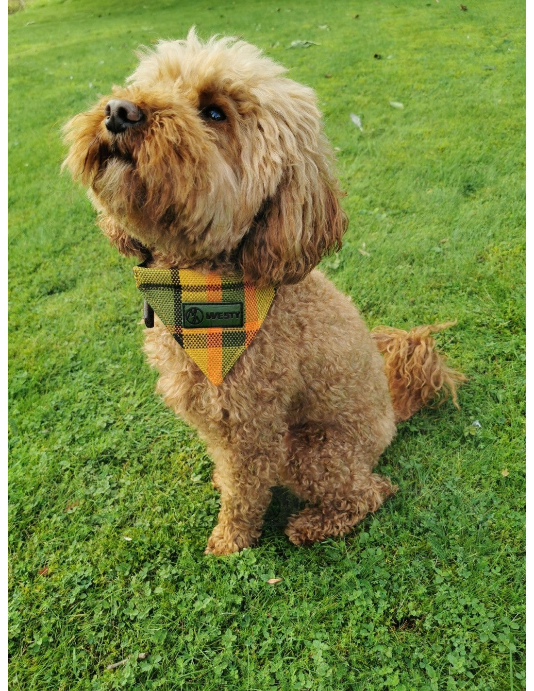 Westfalia Yellow plaid material dog bandana.