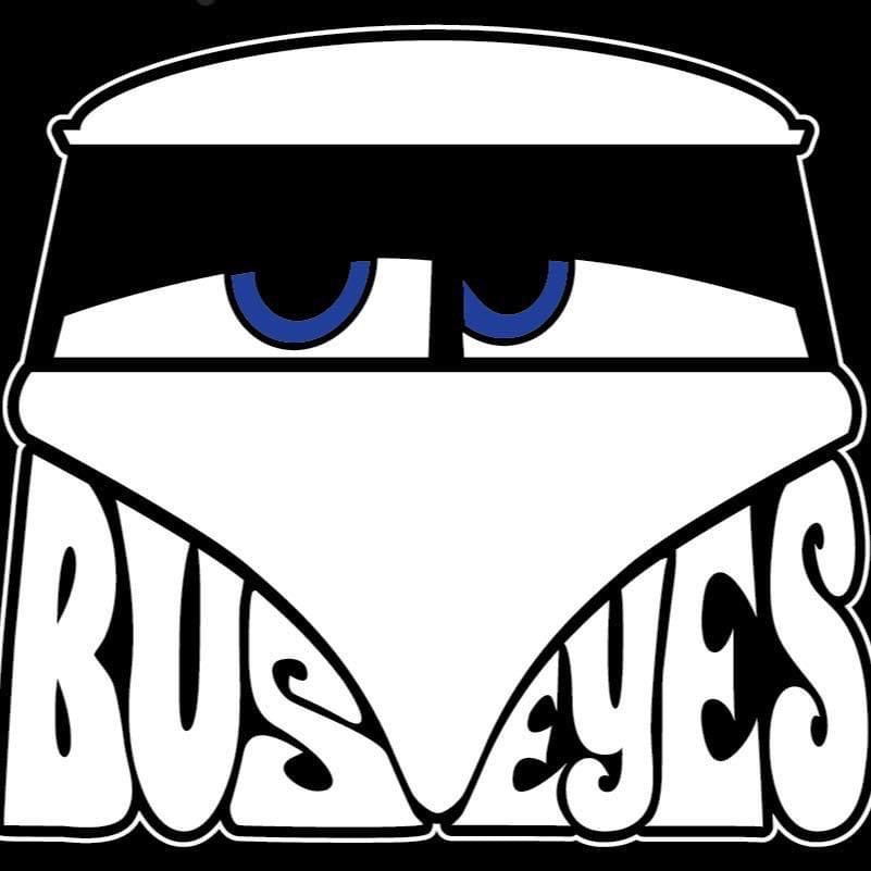 Buseyes Angry Eyes Front Screen Cover Baywindow Bus - Black or Gray.